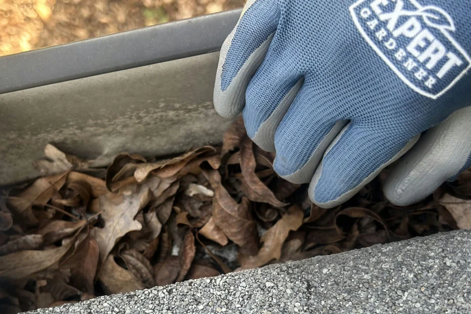 Falcon Heights Gutter Cleaning