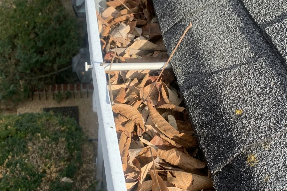 Falcon Heights Gutter Cleaning