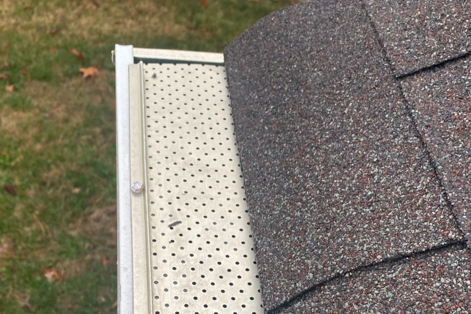 Falcon Heights Gutter Cleaning